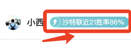 马雷斯卡剖,帕尔默整场,对决可期,中彩网,彩票资讯,彩票平台,在线投注,彩票分析