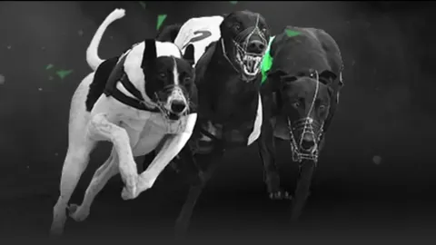 叙利亚古大家族宅邸揭秘：中东家族生活画卷